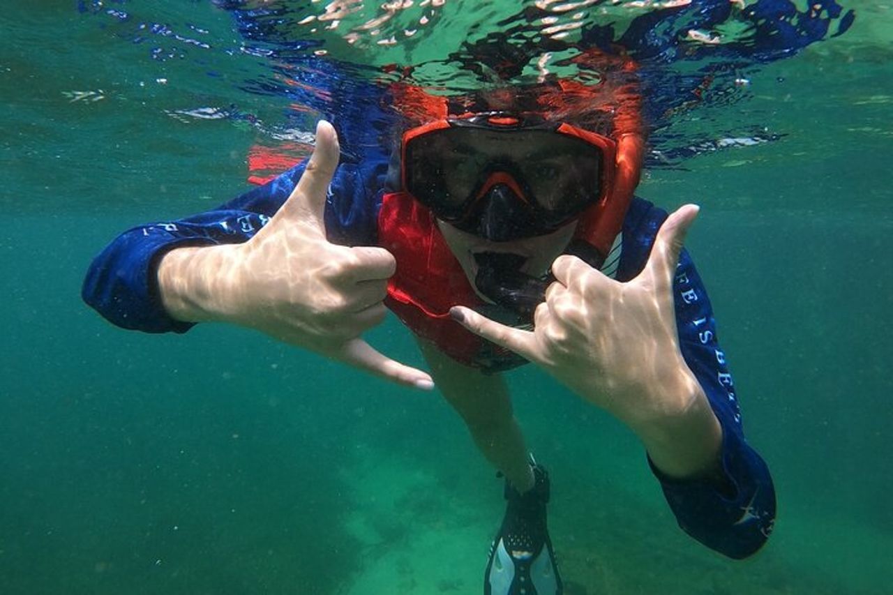 San Juan : Snorkeling con tartarughe e video gratuiti — 5