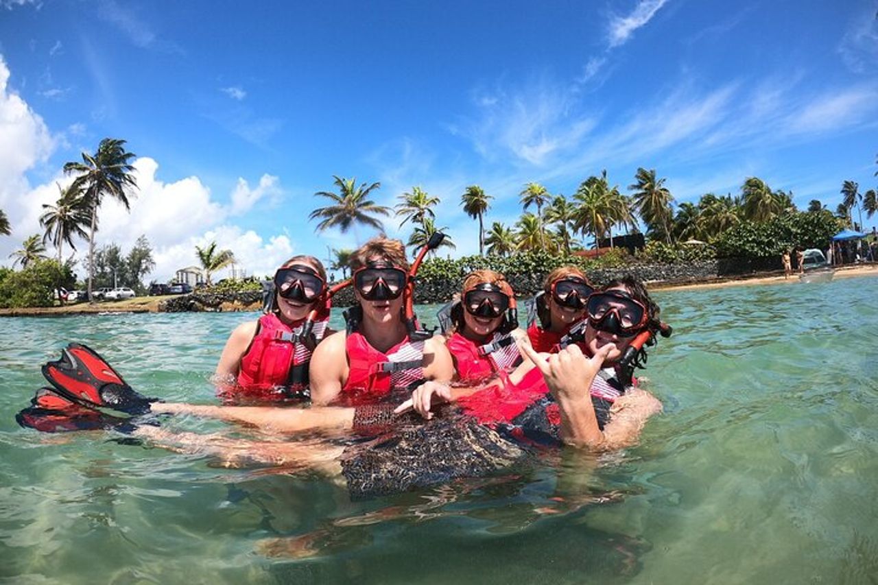 San Juan : Snorkeling con tartarughe e video gratuiti — 2