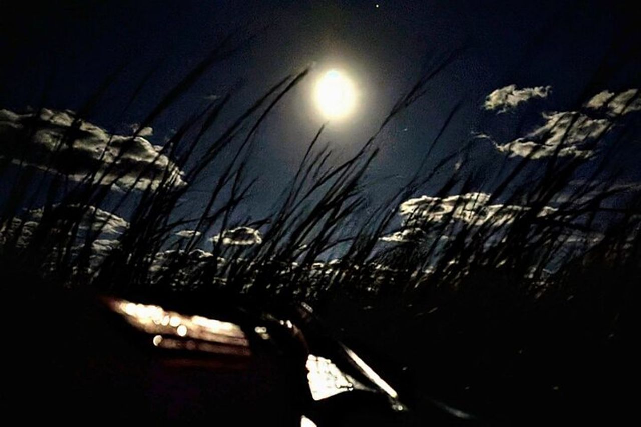 Amelia Full Moon Paddle al Talbot Islands State Park — 2