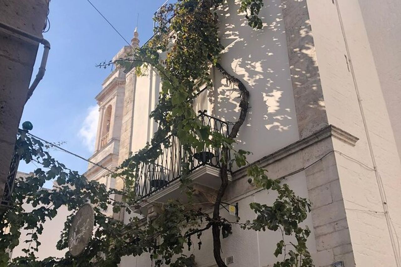 Tour di LOCOROTONDO e ALBEROBELLO in partenza da Bari — 5