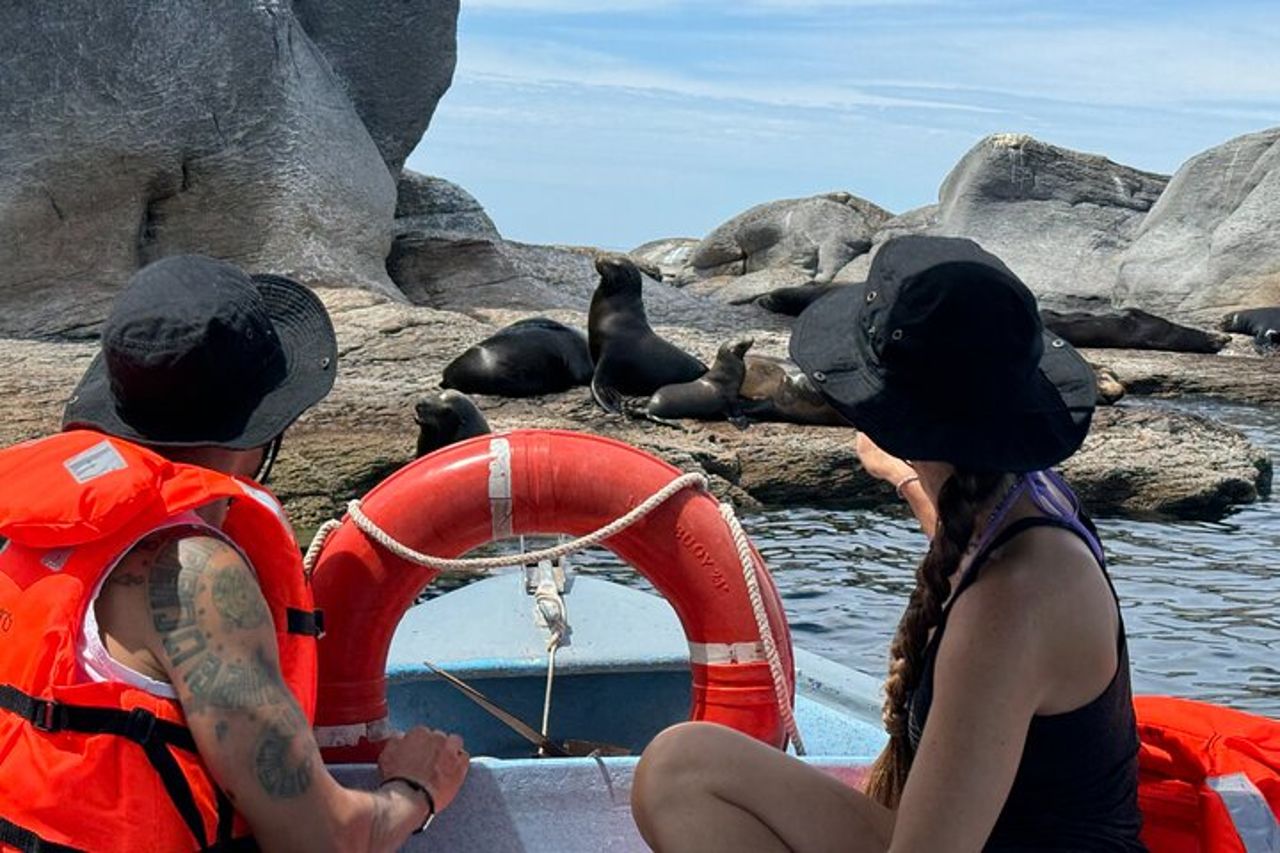 Tour all'isola di Coronado con attività di snorkeling e picnic — 9