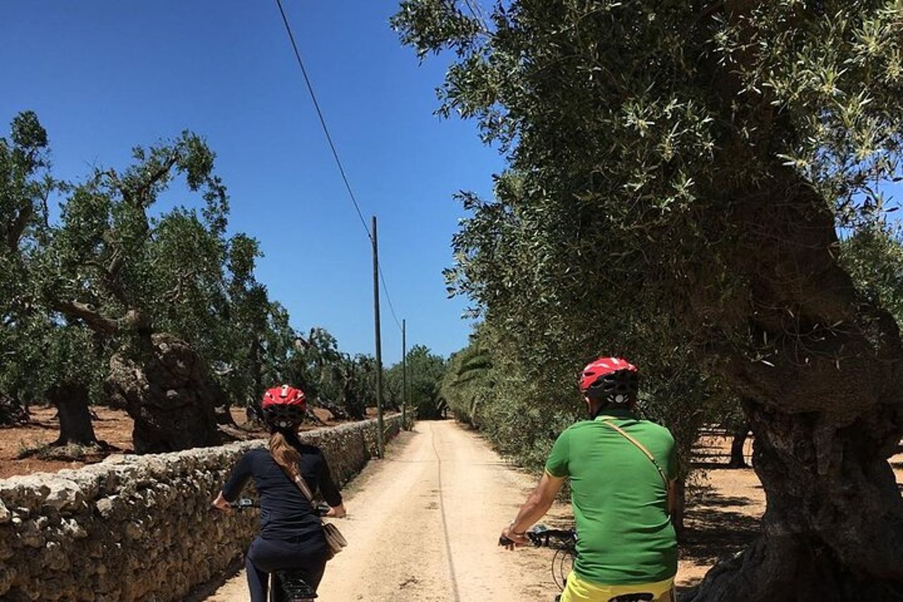 Esplorando le campagne di Conversano e i suoi monumenti in E bike — 3