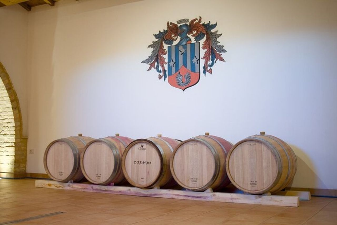 Visit and tasting at Erasmo Winery featuring signature wines — 5