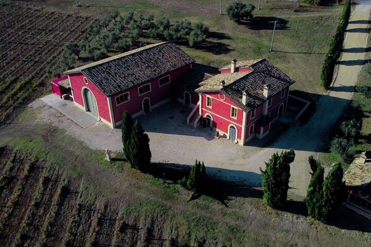 Visit and tasting at Erasmo Winery featuring signature wines — 3