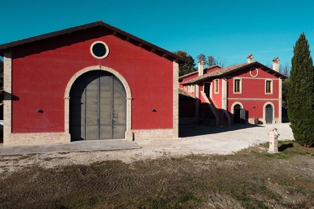 Visit and tasting at Erasmo Winery featuring signature wines — 4