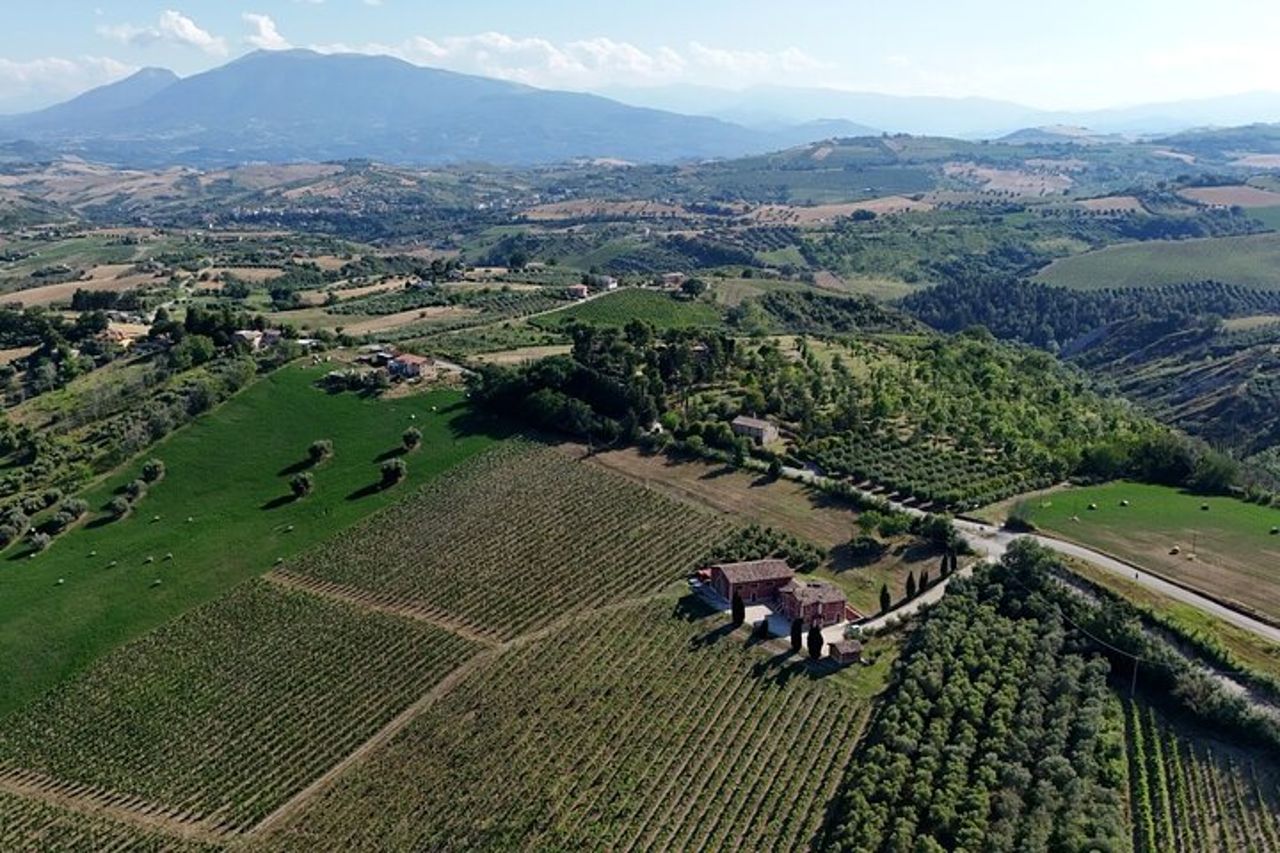 Visit and tasting at Erasmo Winery featuring signature wines — 2