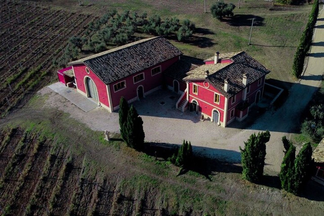 Wine & Local Flavors Tour with Tasting at Cantina D’Erasmo — 3