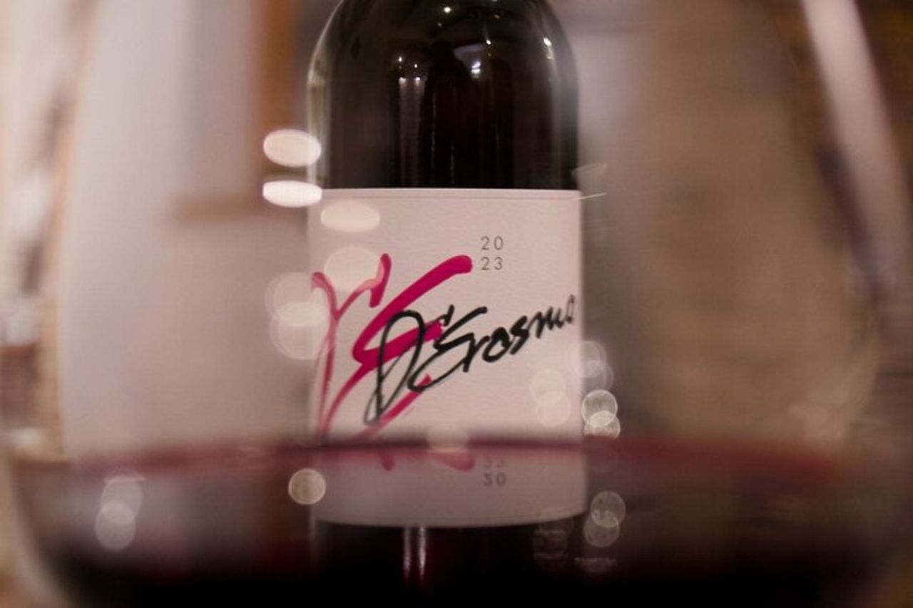 Visit and tasting at Erasmo Winery featuring signature wines — 7