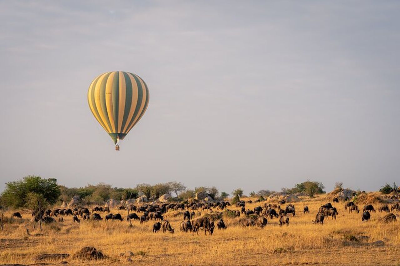 Safari di gruppo di 4 giorni a Tarangire, Serengeti e Ngorongoro Mid-Range — 7