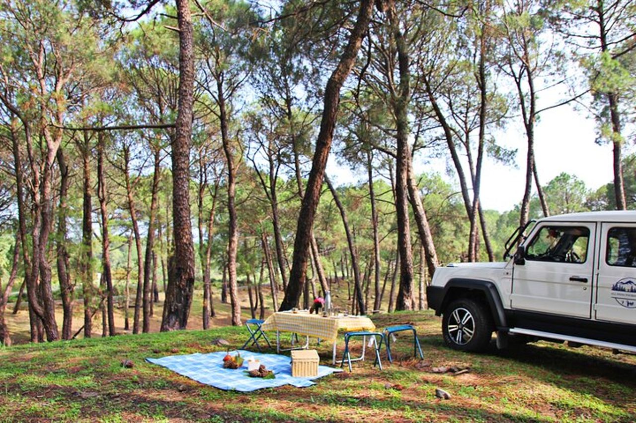 Safari in jeep e picnic — 3