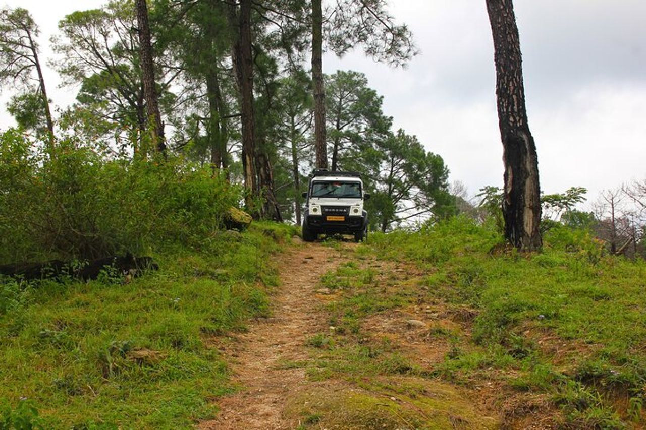Safari in jeep e picnic — 4