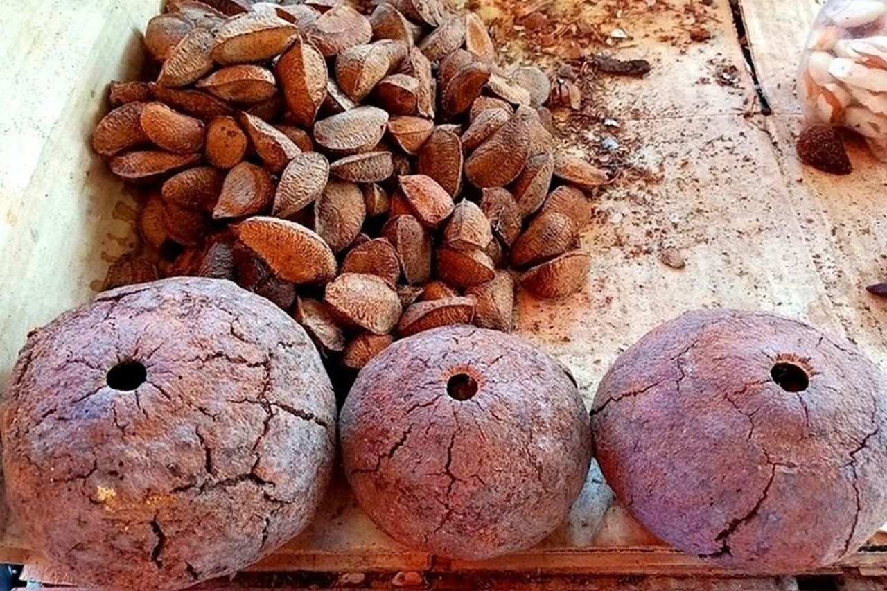 Belem & Marajo Island - Tour privato di più giorni — 7