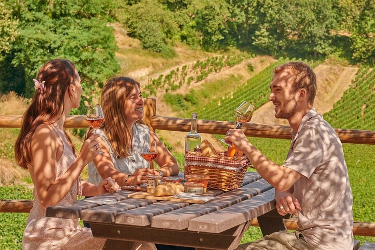 Saint-Emilion Grand Cru Classé: Picnic & visita in inglese — 6