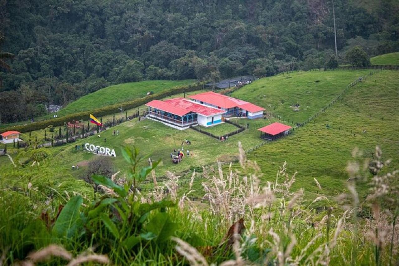 Tour a piedi della Cocora Valley con pranzo — 2