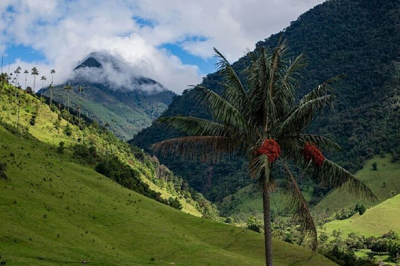 Tour a piedi della Cocora Valley con pranzo — 3