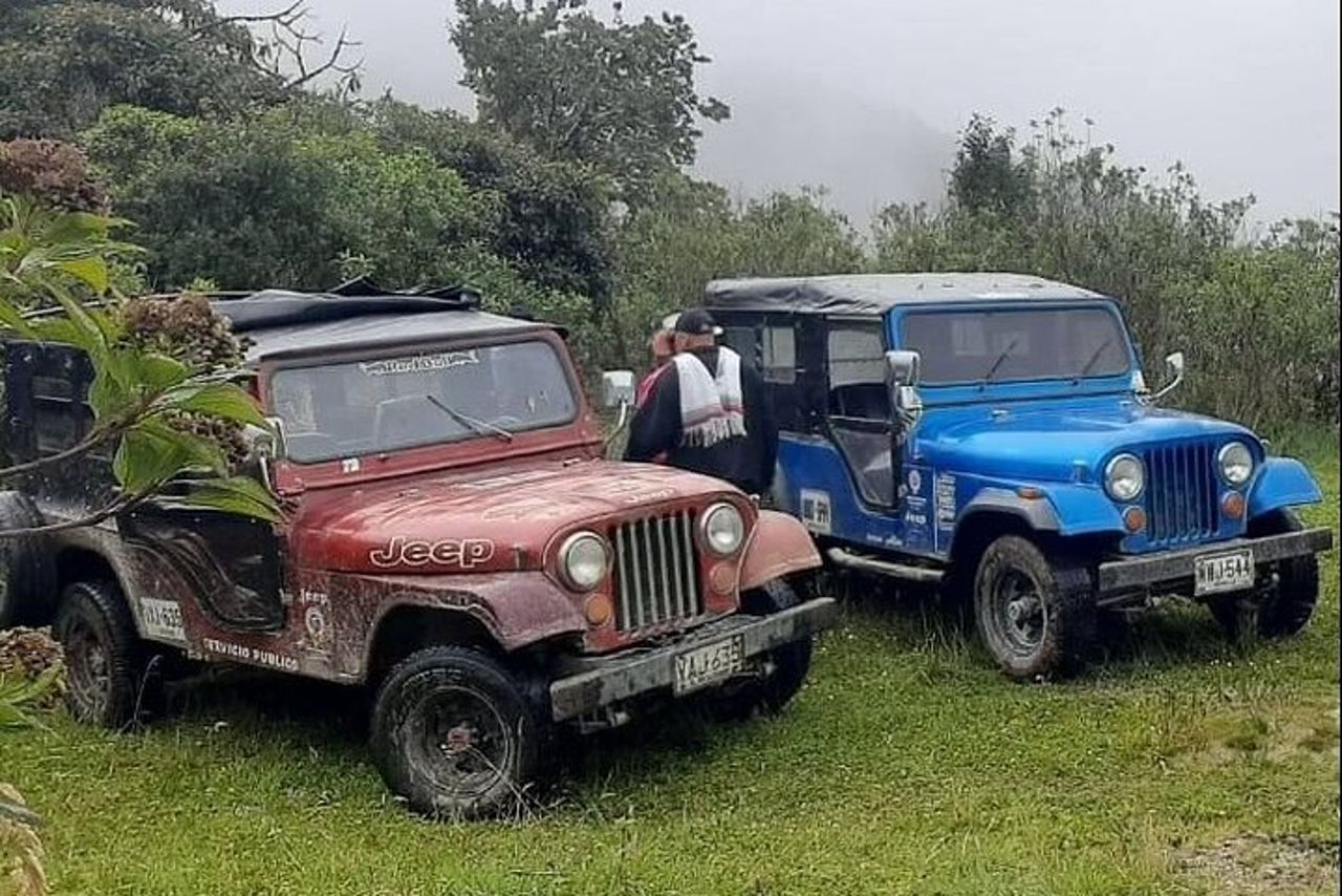 Tour a piedi della Cocora Valley con pranzo — 5