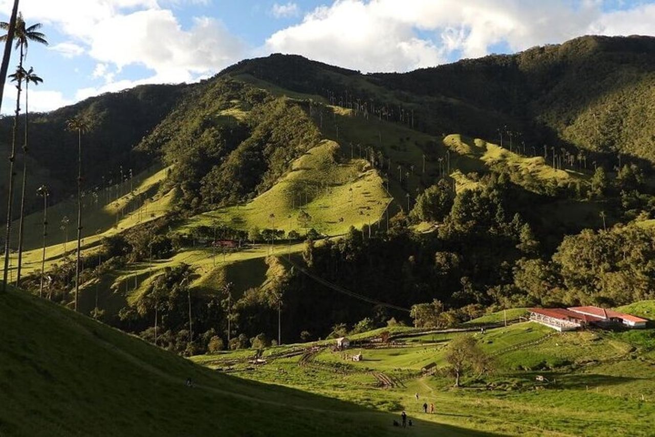 Tour a piedi della Cocora Valley con pranzo — 6