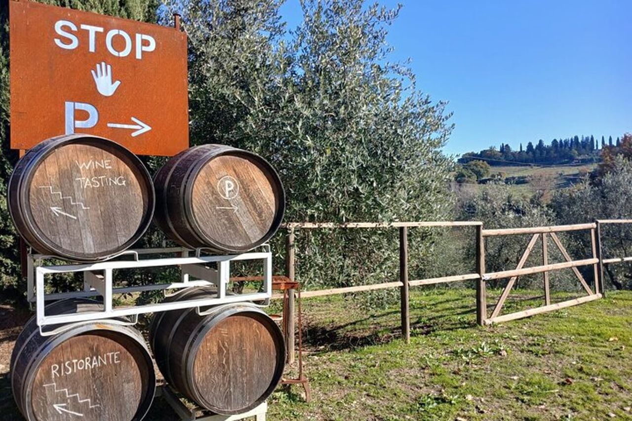 San Gimignano: Visita guidata in cantina e picnic tra gli ulivi — 8
