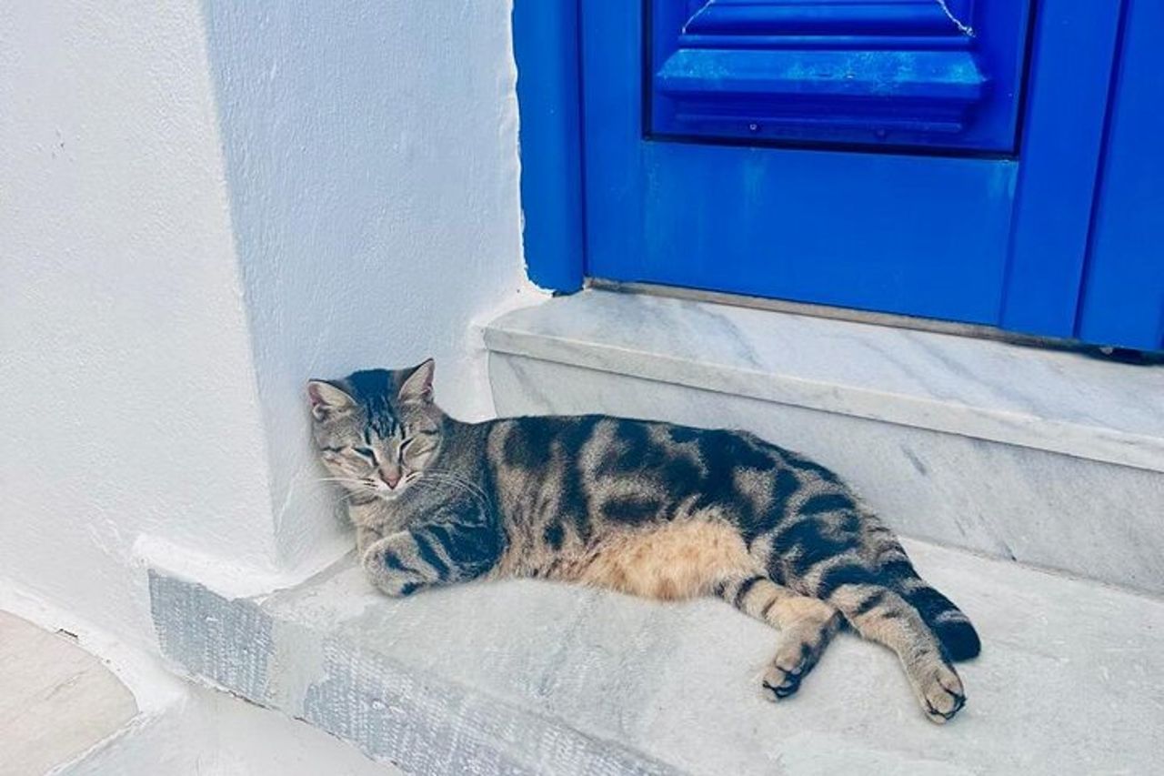 Isola di Paros da Naxos — 8