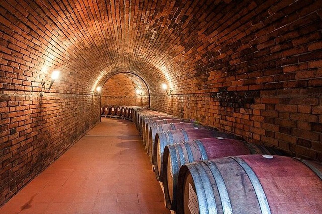 Radda in Chianti : Wine Tasting Tour con pranzo in Cantina — 4