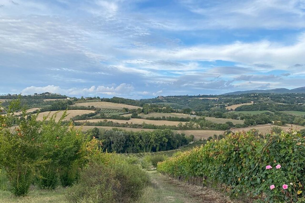 Esperienze in Umbria, Toscana e Marche