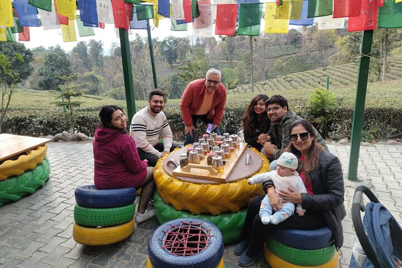 Palampur e Bir Tour, giardini del tè, avventure e parapendio — 3