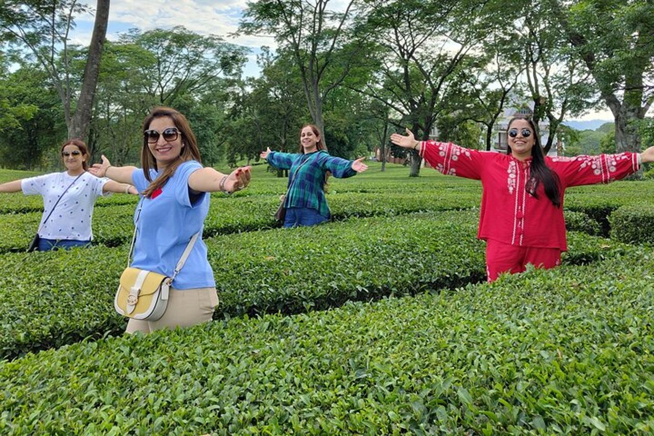 Tour del giardino del tè di Palampur — 6