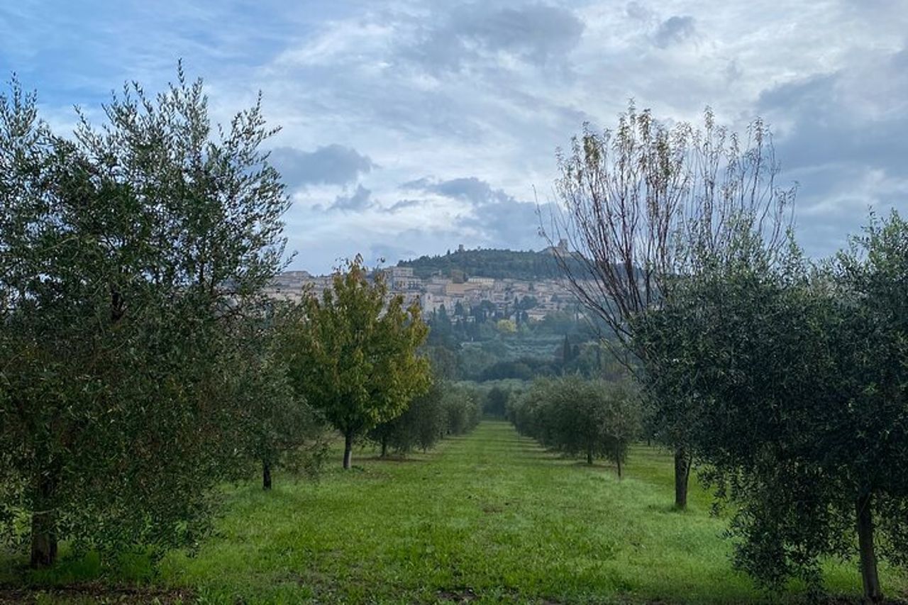 Esperienze in Umbria, Toscana e Marche — 4
