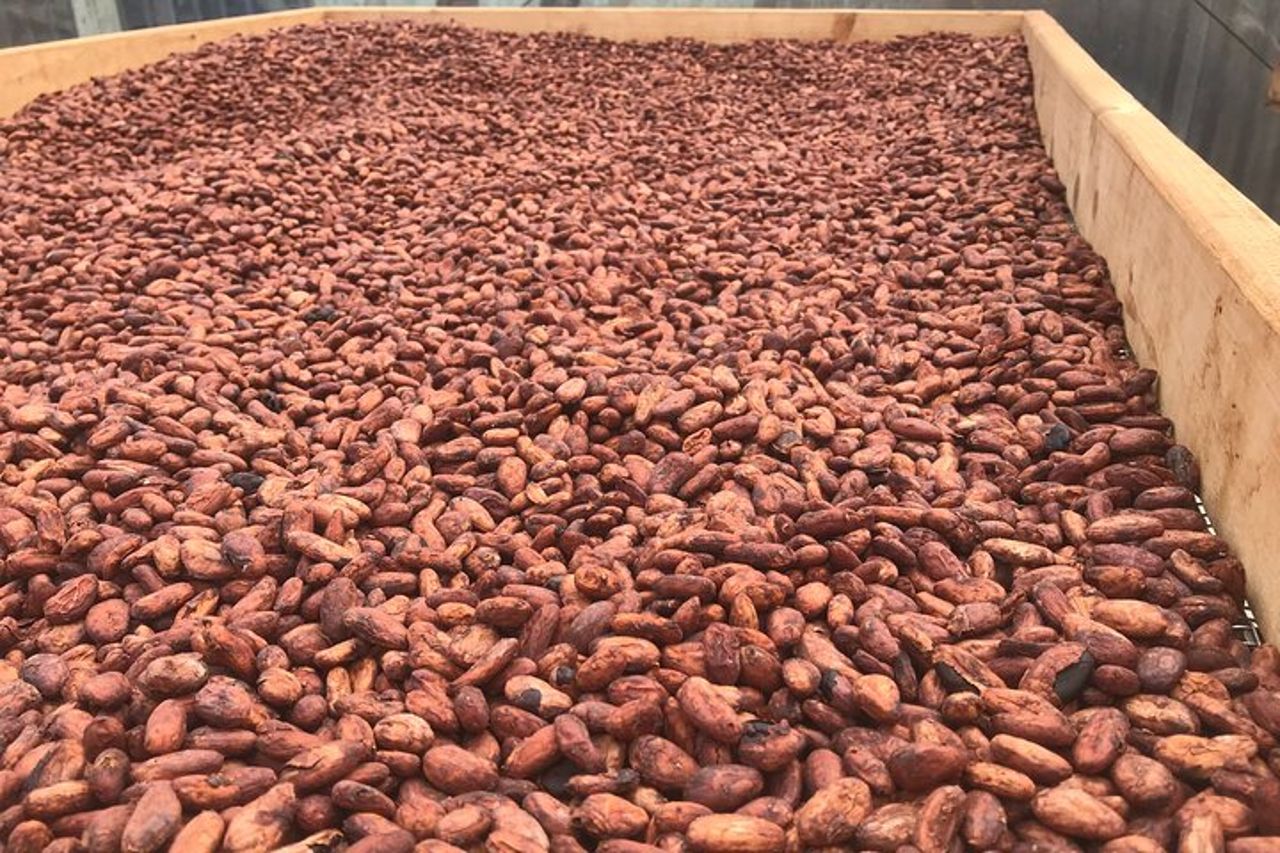 Vulcano, cioccolato e cascate della Grande Isola — 6