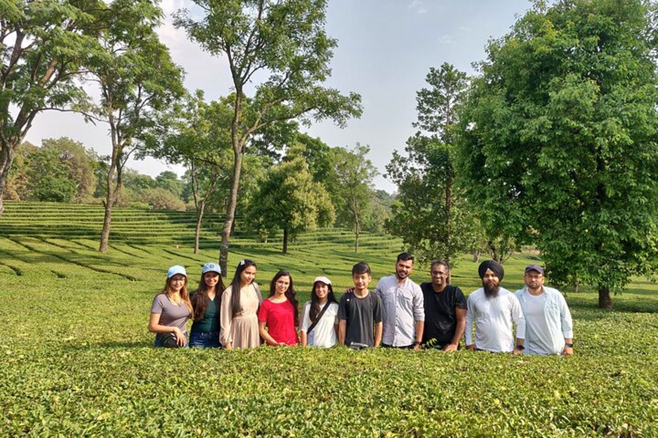 Palampur e Bir Tour, giardini del tè, avventure e parapendio — 6