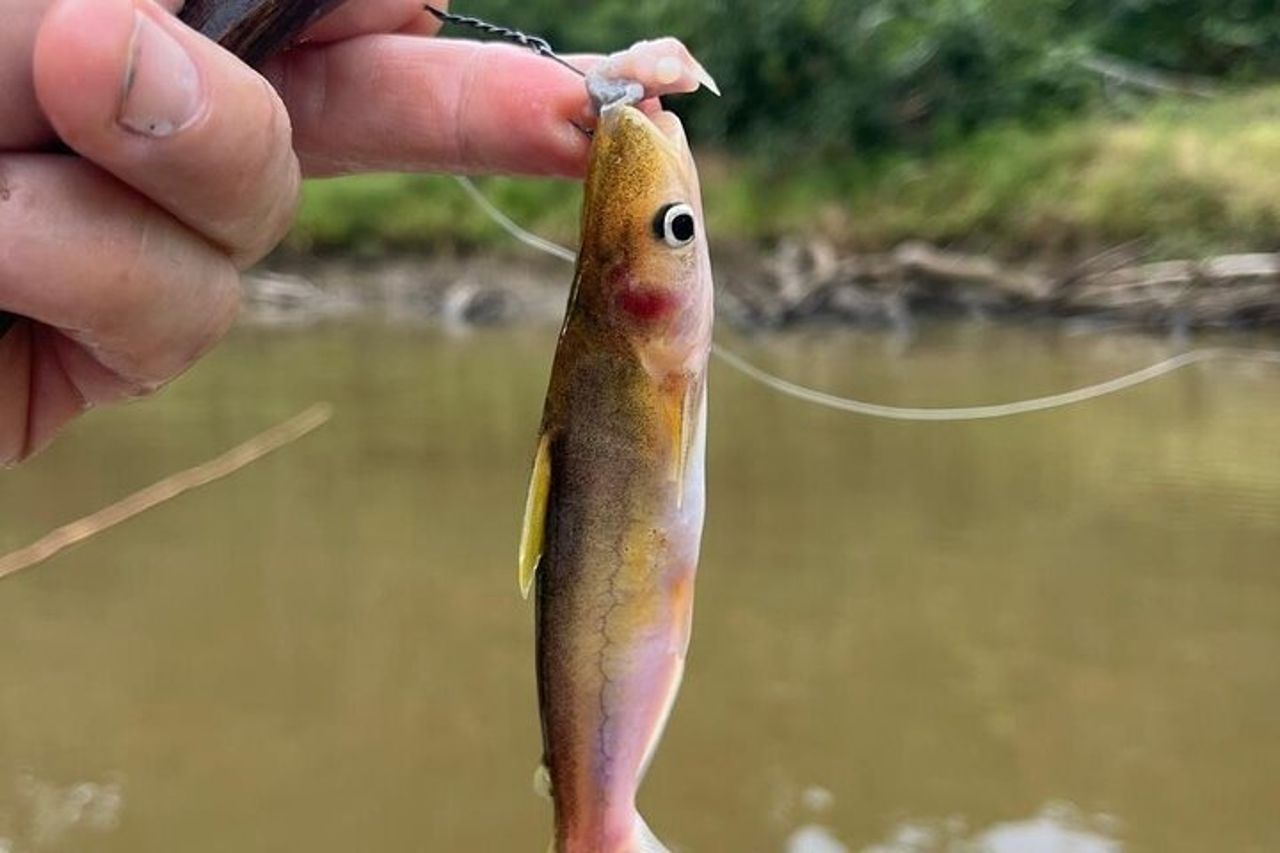 Avventura in Amazzonia 4 giorni — 2