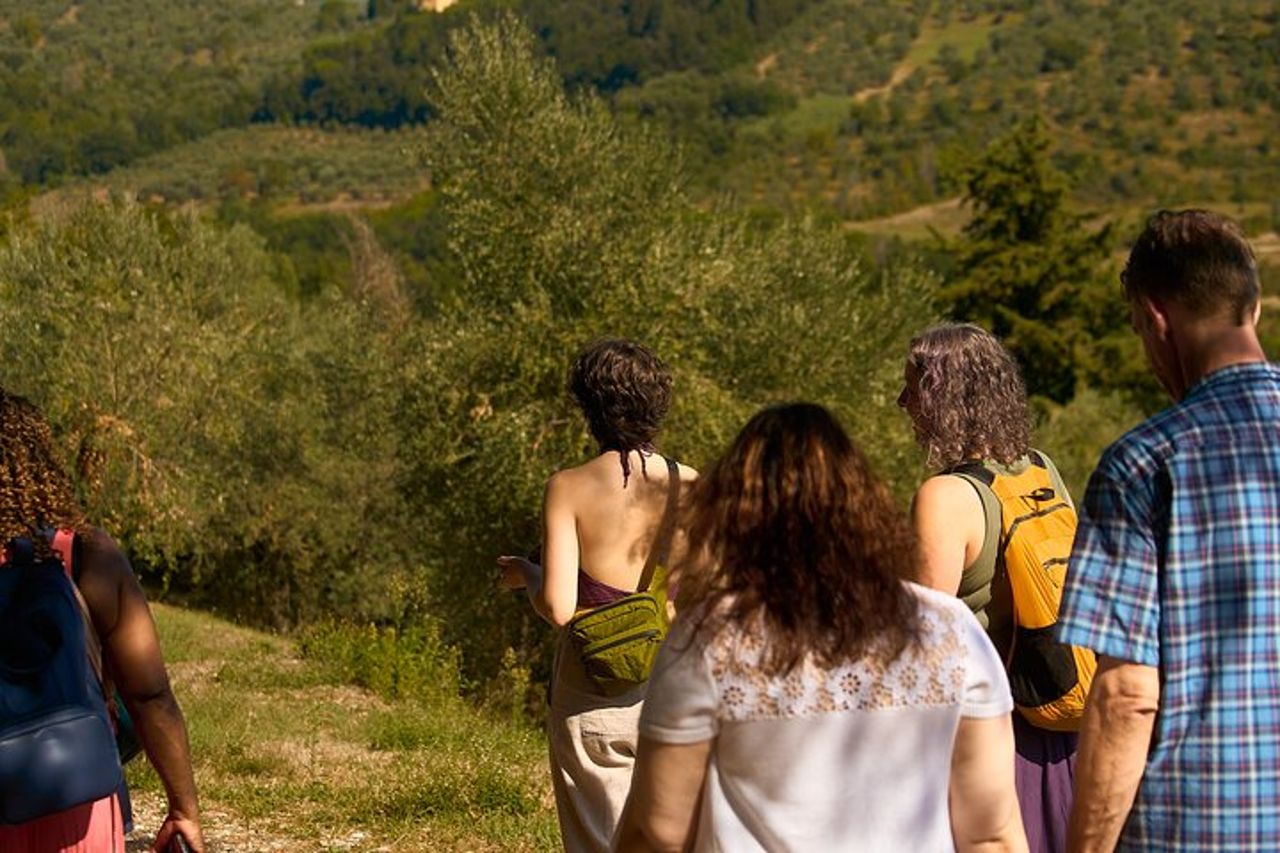Chianti Wine Tour con Degustazioni Esperienza Semi-Privata — 7