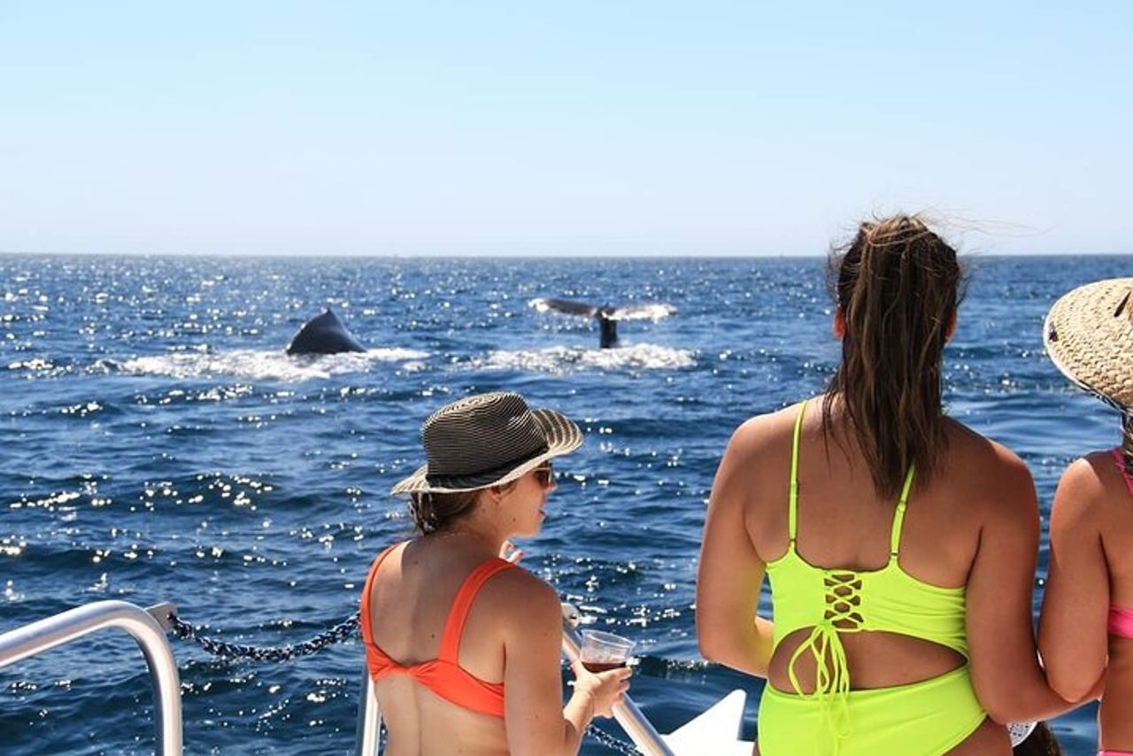 Cabo Catamarano – Tour di snorkeling e viste costiere — 7