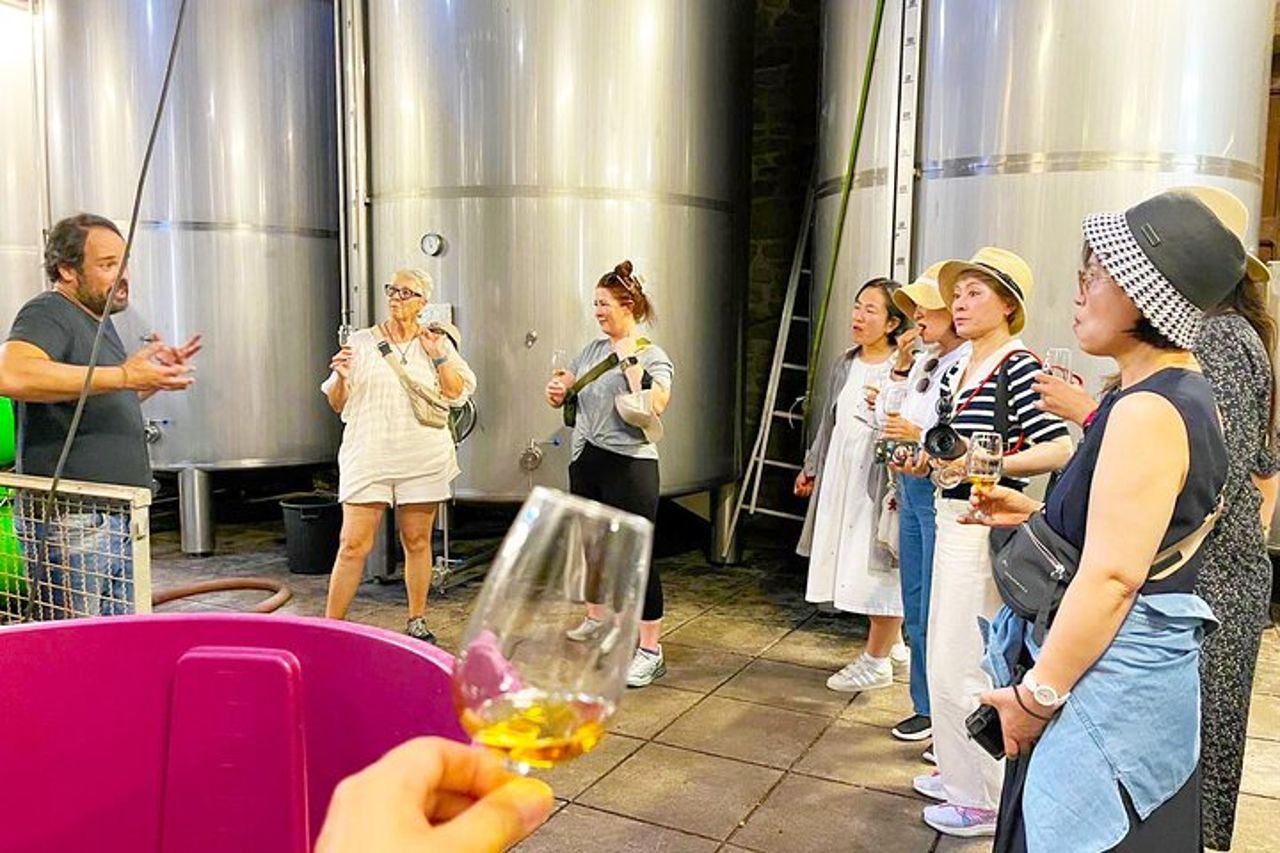 Gita di un giorno nella Valle del Douro: 2 cantine, barca privata e pranzo autentico — 8