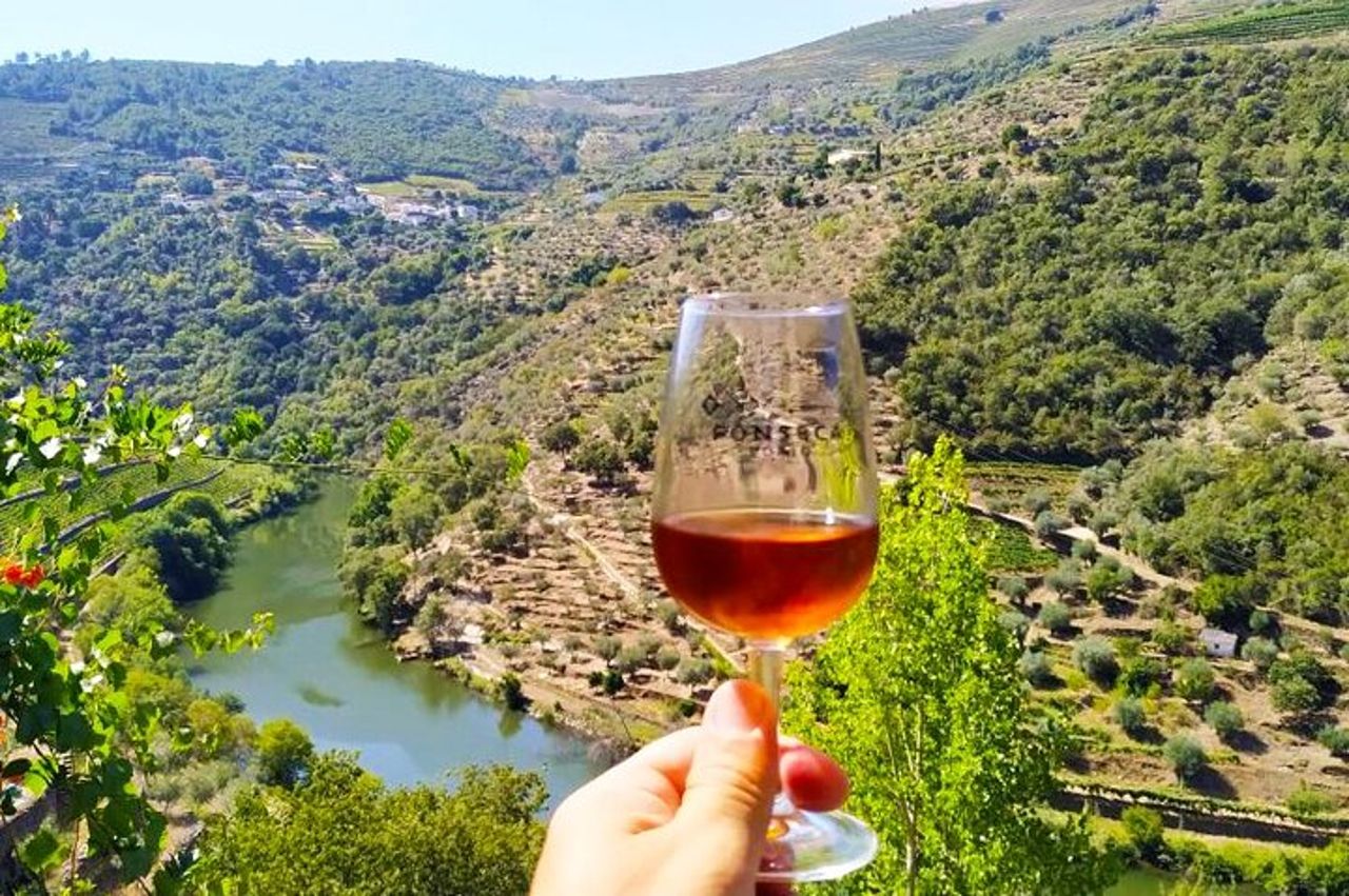 Gita di un giorno nella Valle del Douro: 2 cantine, barca privata e pranzo autentico