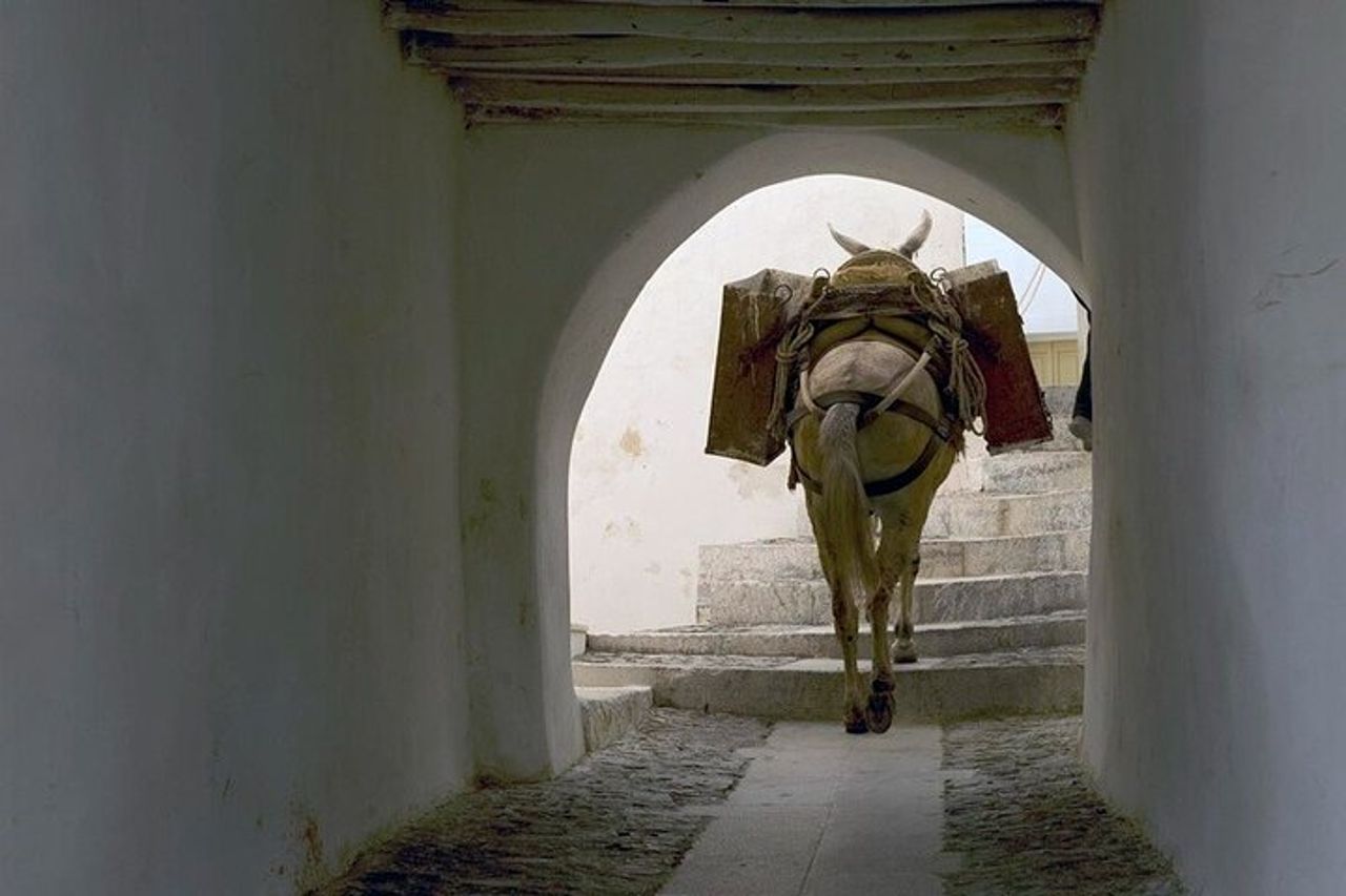 Tour privato per piccoli gruppi a Syros — 8
