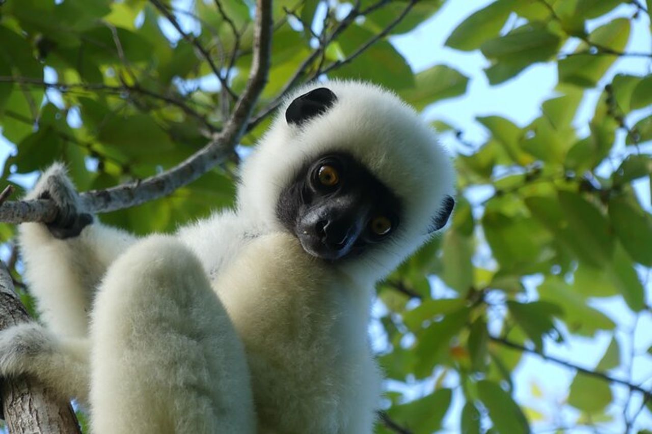 Tour privato del Madagascar meridionale — 4