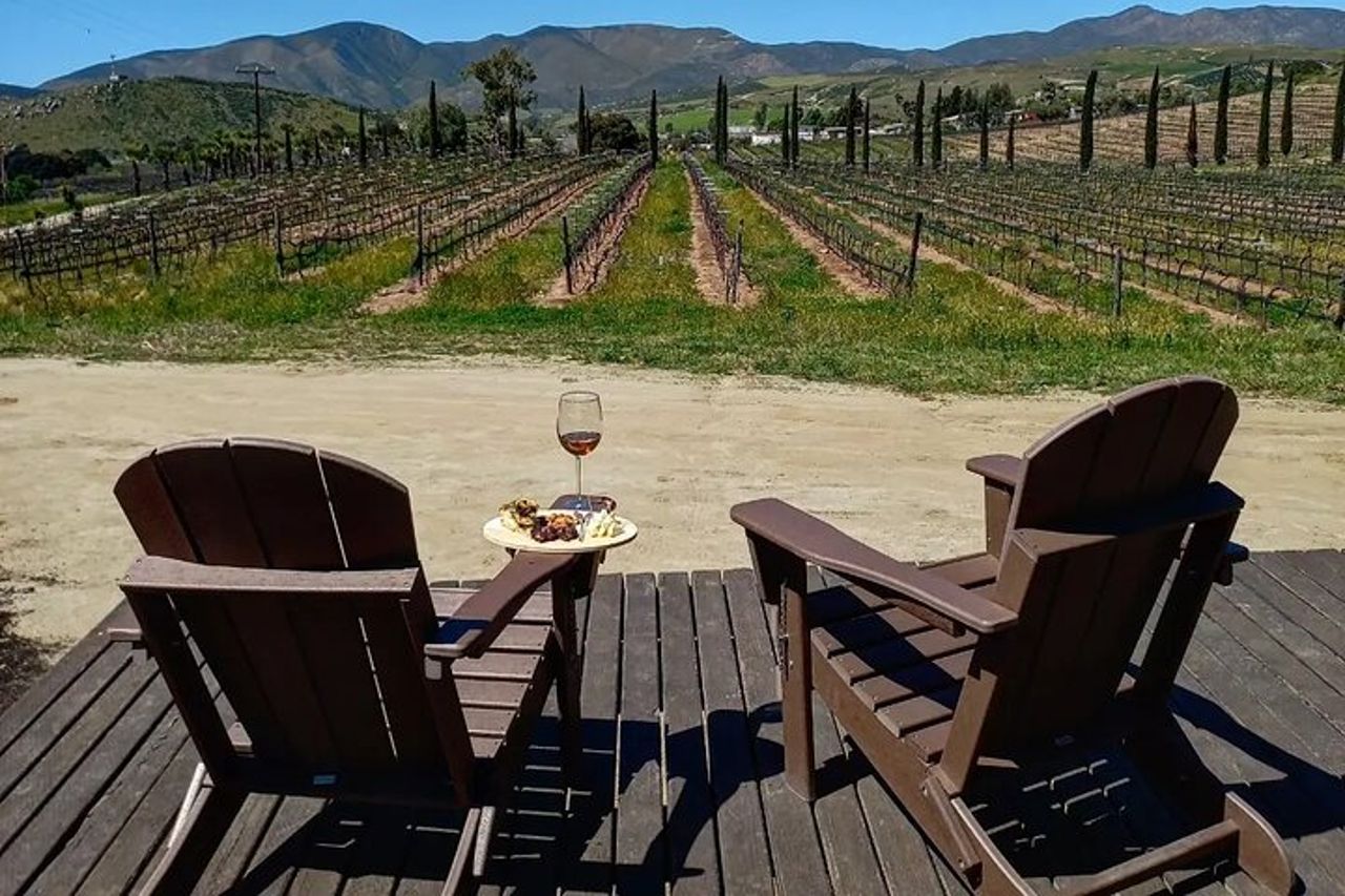 Esperienza del tour della vecchia strada del vino in Baja California. TUTTO INCLUSO! — 8