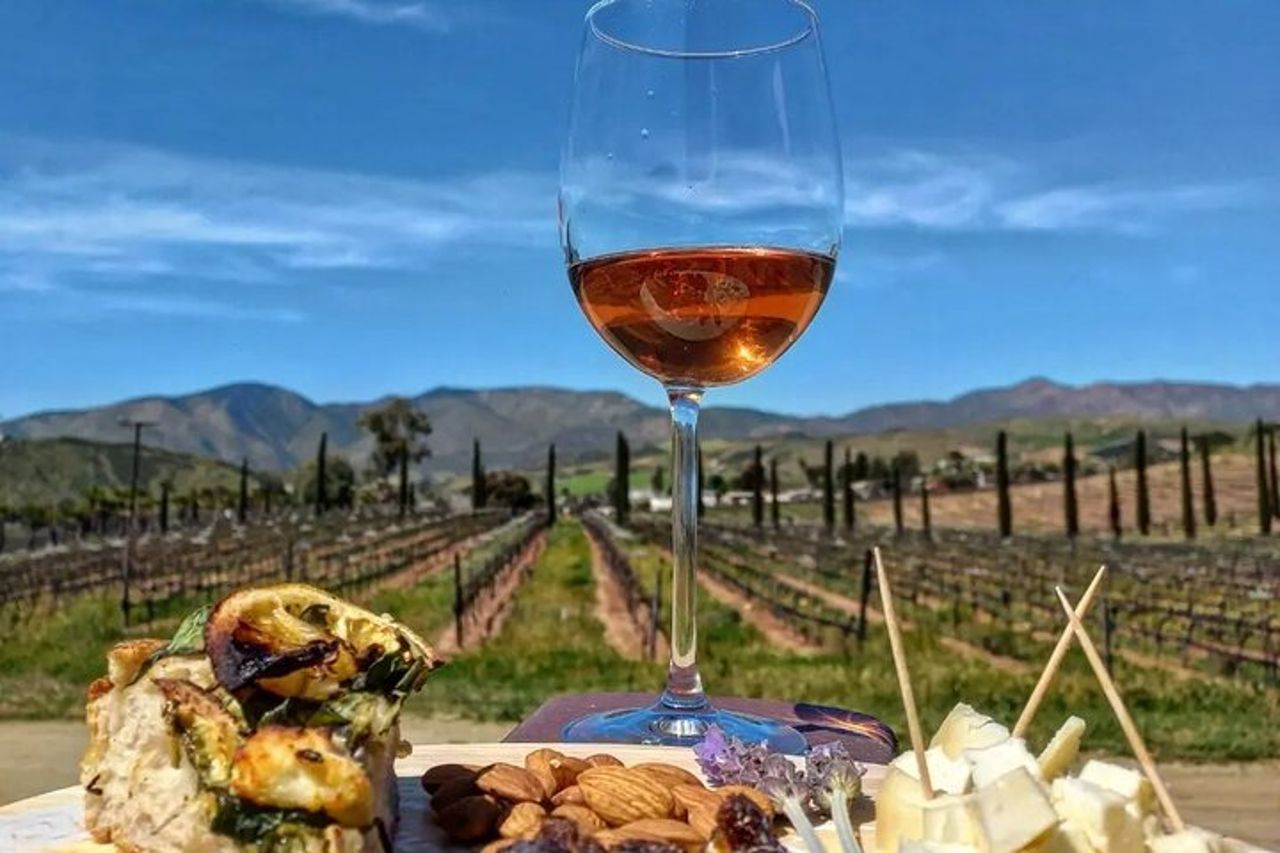 Esperienza del tour della vecchia strada del vino in Baja California. TUTTO INCLUSO! — 5