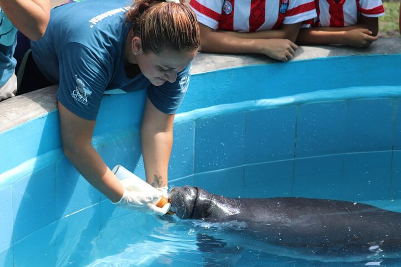 Amazon Rescue Center - Biglietto di ammissione al Manatees Conservation Center — 3