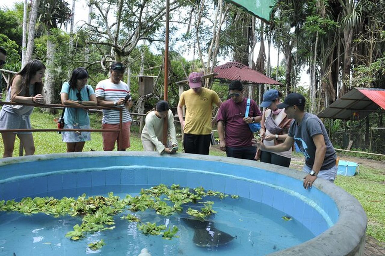 Amazon Rescue Center - Biglietto di ammissione al Manatees Conservation Center — 4