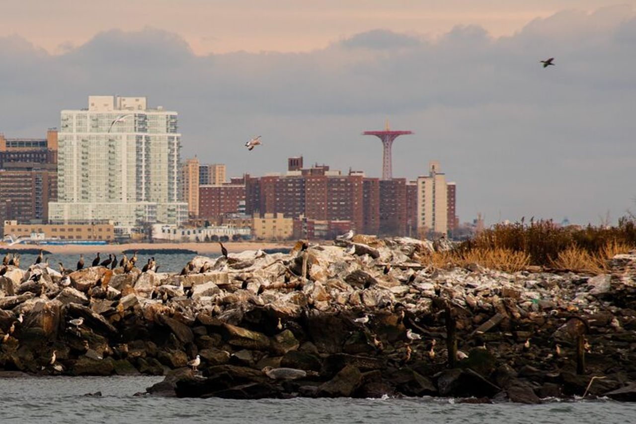 Tour in barca di New York City Sightseeing e Seals — 4