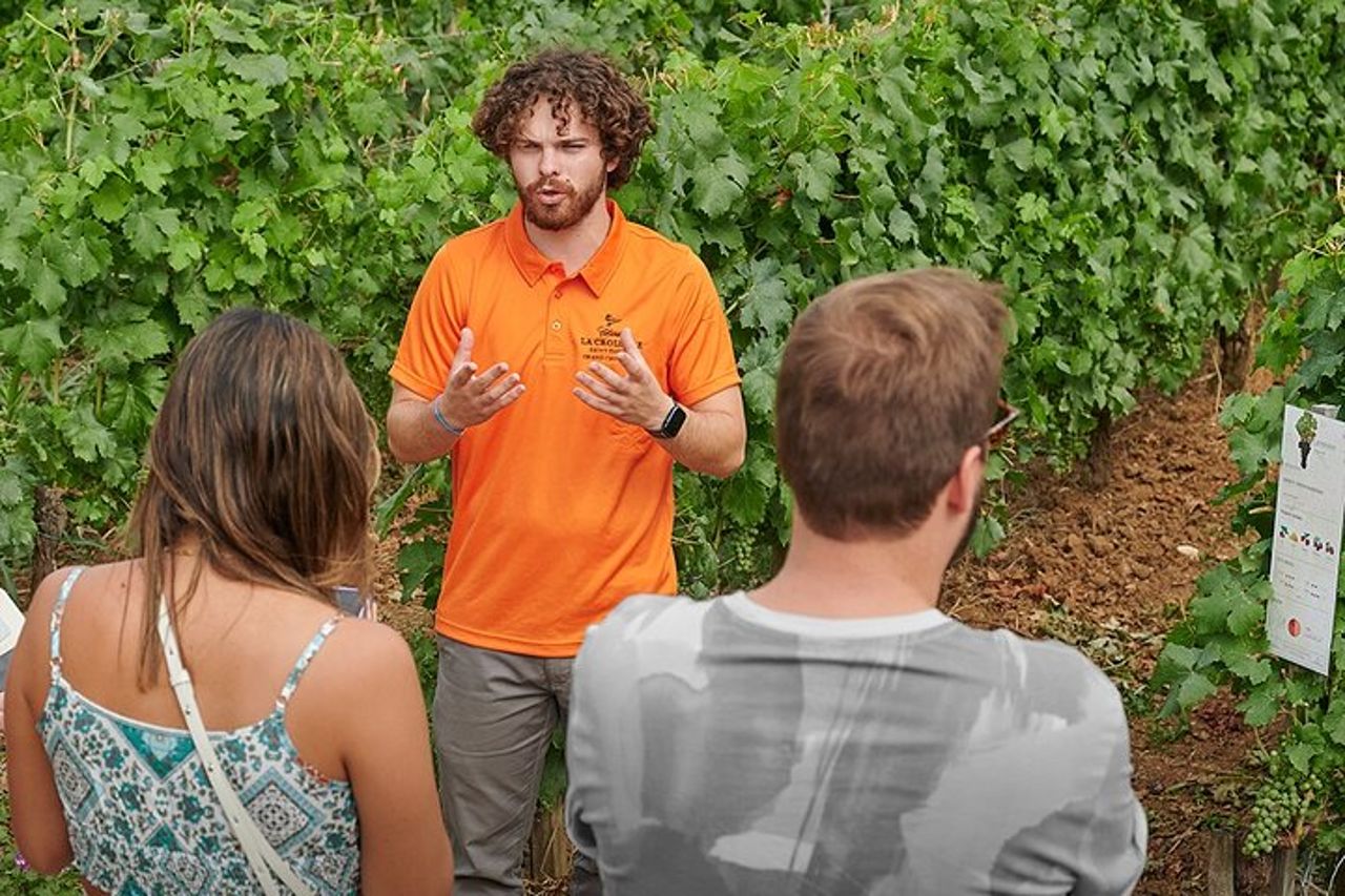 Saint-Emilion Grand Cru Classé: Visita & degustazione in inglese