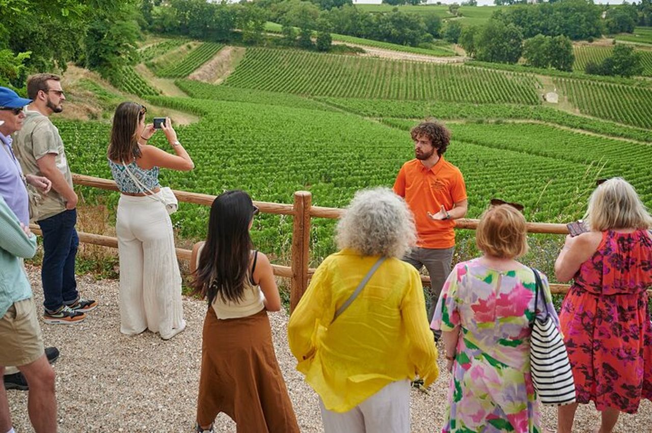 Saint-Emilion Grand Cru Classé: Visita & degustazione in inglese — 2