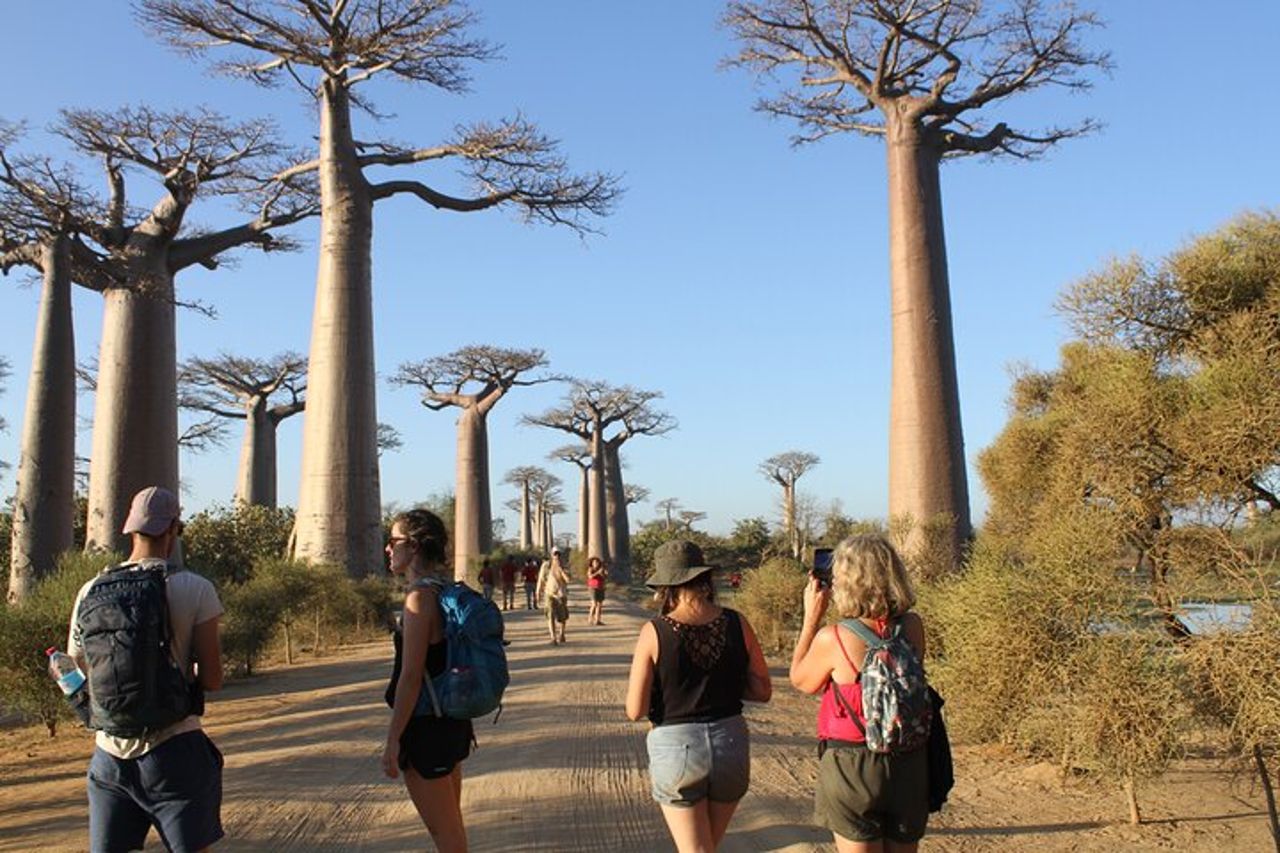 Tour d'avventura nel Madagascar occidentale | Natura e scoperta — 6