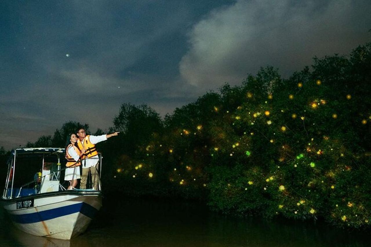 Crociera serale sul fiume delle lucciole di Kuala Selangor da Kuala Lumpur — 6