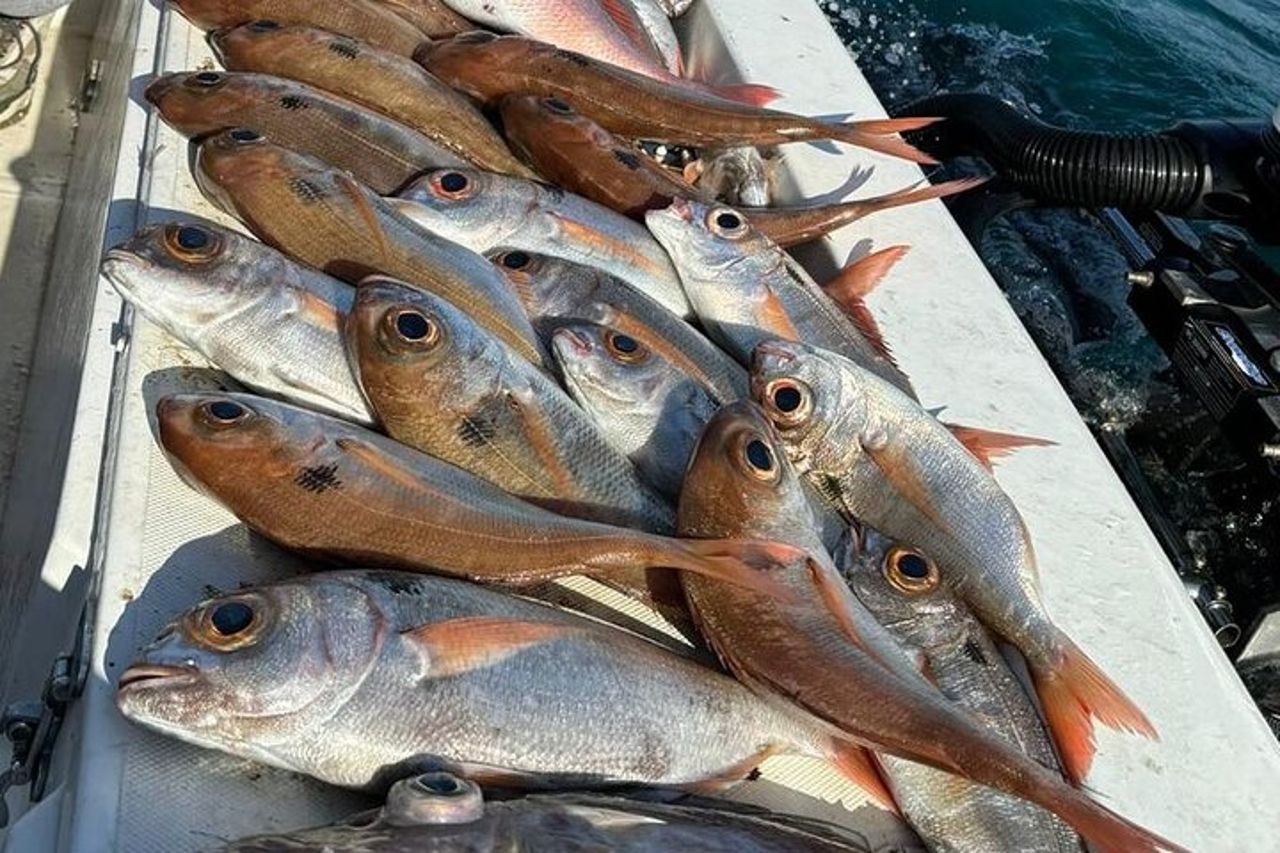 Tour con pesca a bolentino di medio fondale o con canna — 2