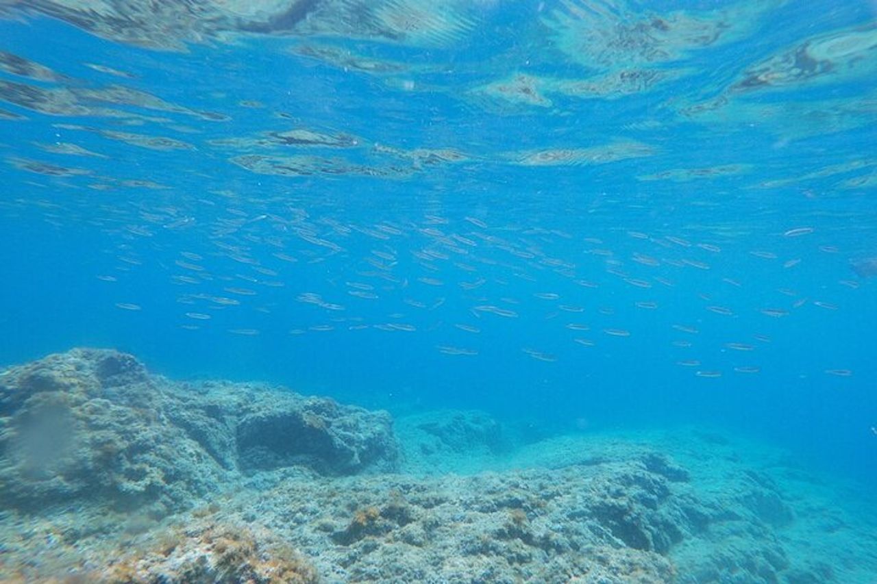 Costa Brava - Tour in kayak e snorkeling "Grotte marine" — 9