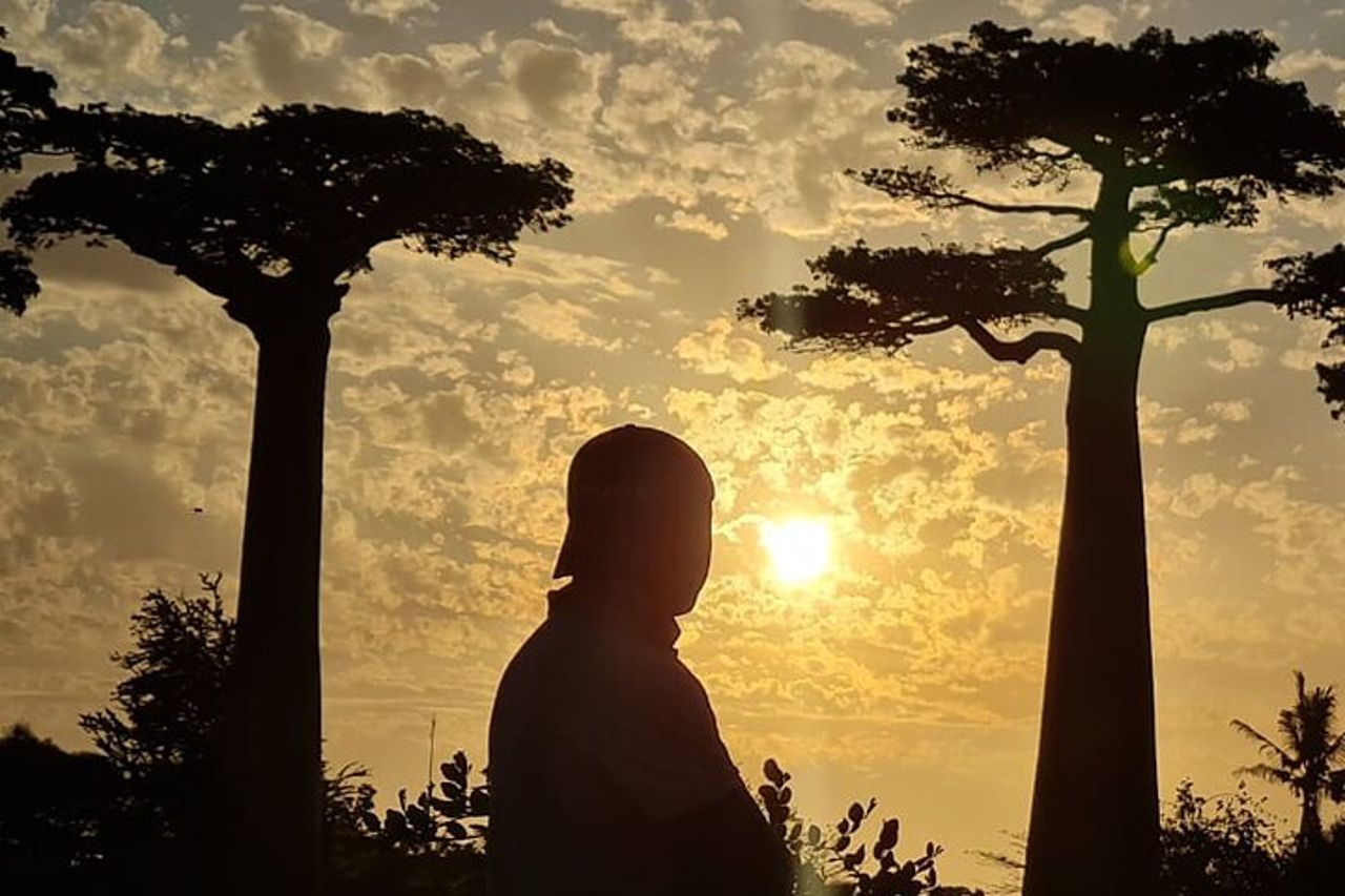 Safari Baobab di 7 giorni in Roadtrip — 2