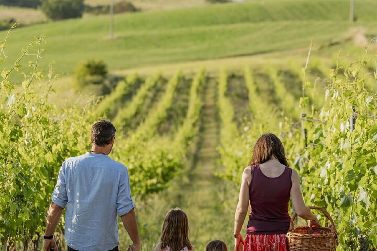 Montalcino: esclusivo picnic in vigna con vino — 3